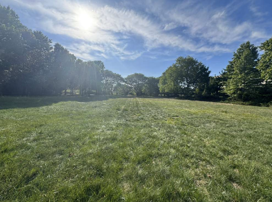 Current open field